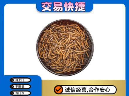 伊春市汤旺高价回收散虫草